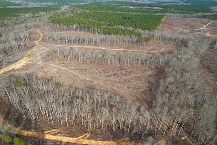 Recreational Property in Haralson County, Georgia