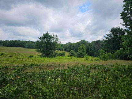 Hunting Land in Tioga County, New York
