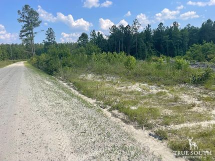 Farm Property in Hampton County, South Carolina