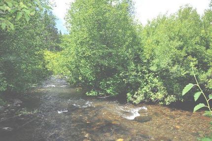 Ranch Property in Fremont County, Idaho