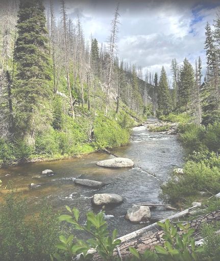 Ranch Property in Boise County, Idaho