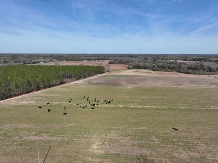 Property in Houston County, Alabama