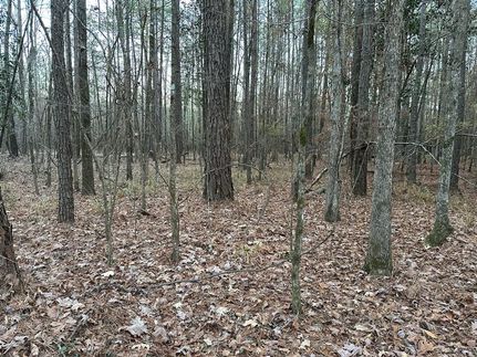 Farm Property in Jasper County, Mississippi