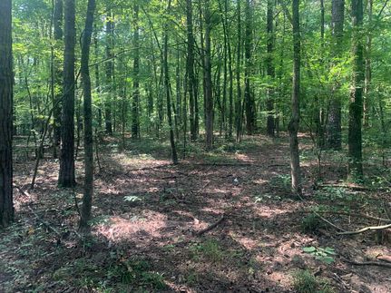 Residential Property in White County, Arkansas