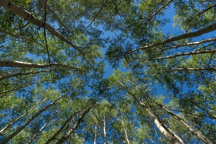 Property for sale in Costilla County, Colorado