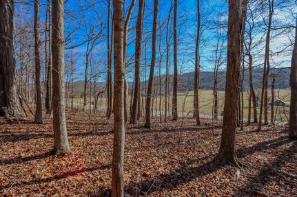 Timberland Property in Putnam County, Tennessee