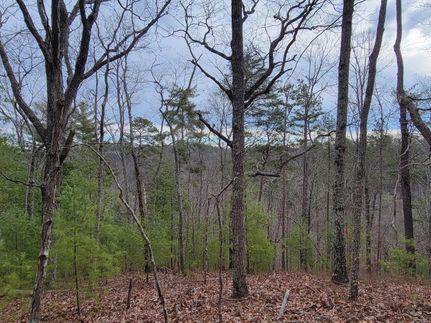 Undeveloped Land in Gordon County, Georgia
