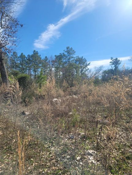 Farm Property in Anderson County, Texas