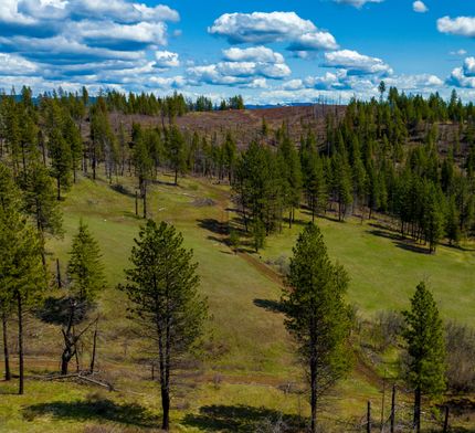 Timberland Property in Clearwater County, Idaho
