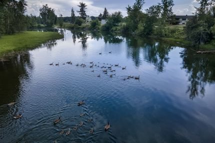 Farm Property in Flathead County, Montana