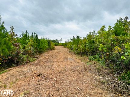 Ranch Property in Gloucester County, Virginia