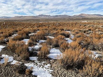 Farm Property in Elko County, Nevada