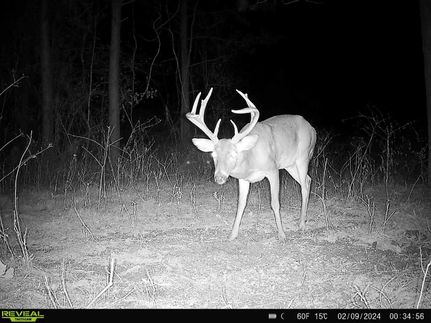 Property in East Feliciana Parish, Louisiana