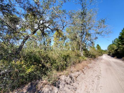 Hunting Land for sale in Madison County, Florida