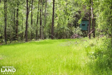 Residential Property in Livingston Parish, Louisiana