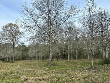 Property in Jasper County, Texas