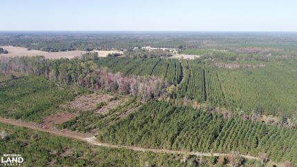 Property in Bryan County, Georgia