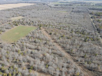 Waterfront Property in Richland Parish, Louisiana