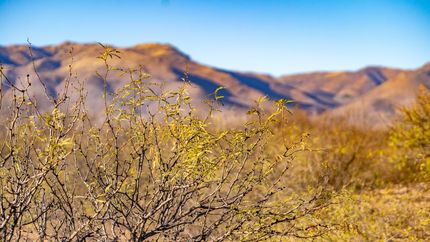 Farm Property for sale in Cochise County, Arizona