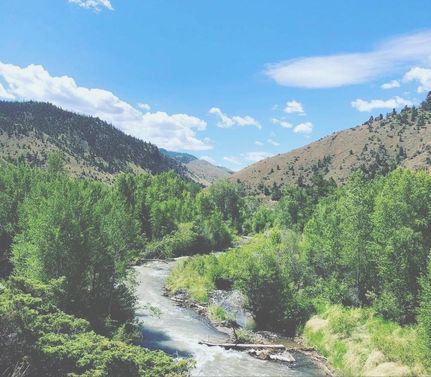 Timberland Property in Park County, Wyoming