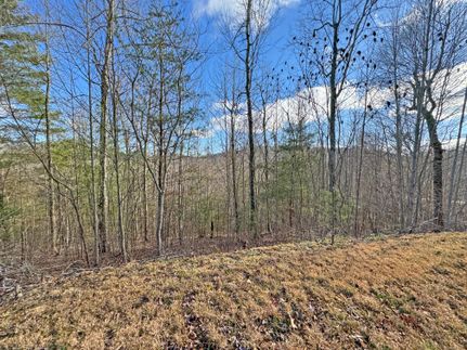 Undeveloped Land for sale in Madison County, North Carolina