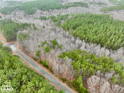 Hunting Land in Pittsylvania County, Virginia