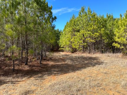 Farm Property in Attala County, Mississippi
