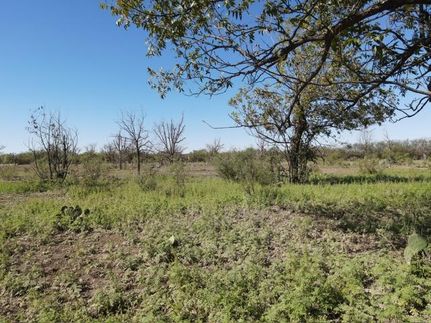 Property in Irion County, Texas