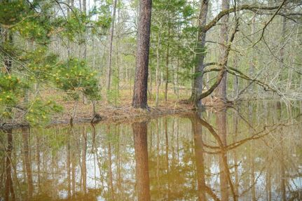 Ranch Property in Nacogdoches County, Texas