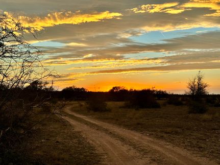 Farm Property in Menard County, Texas