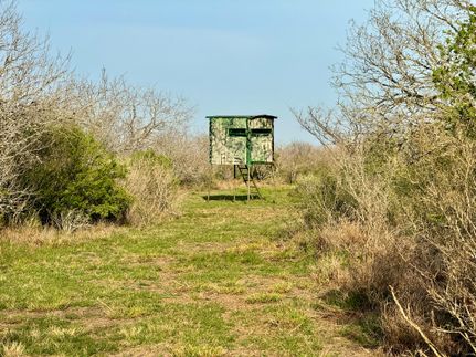 Ranch Property in Duval County, Texas