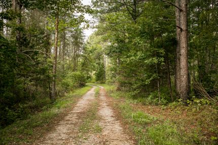 Ranch Property in Lawrence County, Alabama