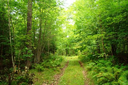 Farm Property in Oneida County, Wisconsin