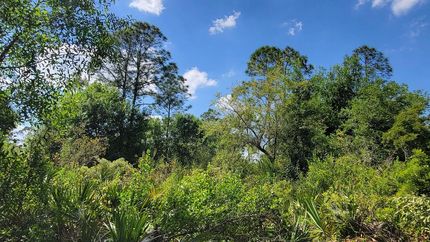 Farm Property in Hendry County, Florida