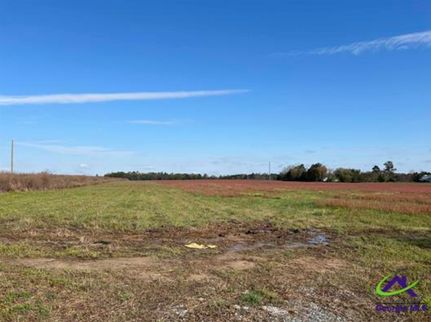 Farm Property in Bleckley County, Georgia