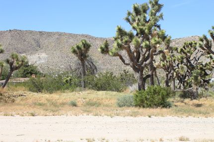 Farm Property in San Bernardino County, California