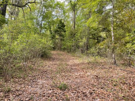 Ranch Property in Jackson County, Florida