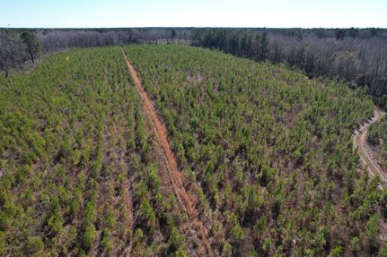 Farm Property in Williamsburg County, South Carolina