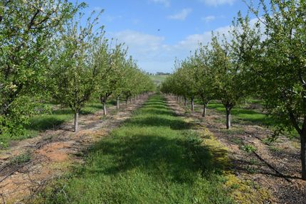 Property for sale in Tehama County, California