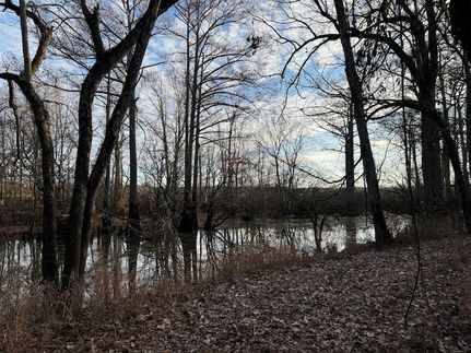 Timberland Property in Jefferson County, Arkansas