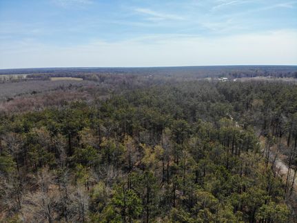 Timberland Property in Lincoln County, Arkansas