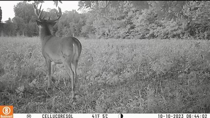 Ranch Property in Lyon County, Kentucky