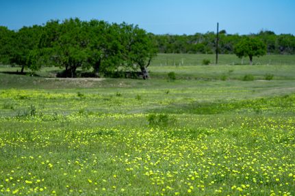 Undeveloped Land in Wilson County, Texas