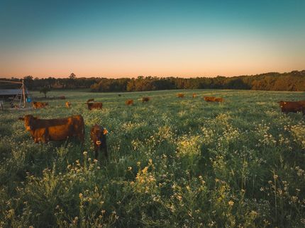 Ranch Property in Madison County, Florida