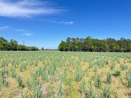 Farm Property in Dillon County, South Carolina