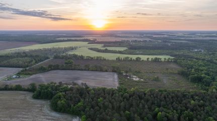 Undeveloped Land in Pulaski County, Georgia