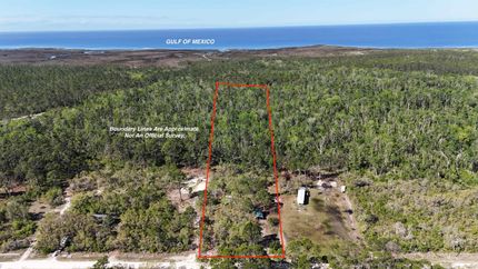 Farm Property in Taylor County, Florida