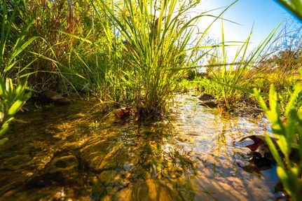 Farm Property for sale in Burnet County, Texas