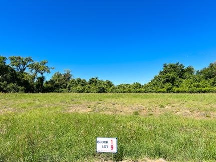 Undeveloped Land for sale in Leon County, Texas