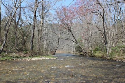 Waterfront Property in Murray County, Georgia